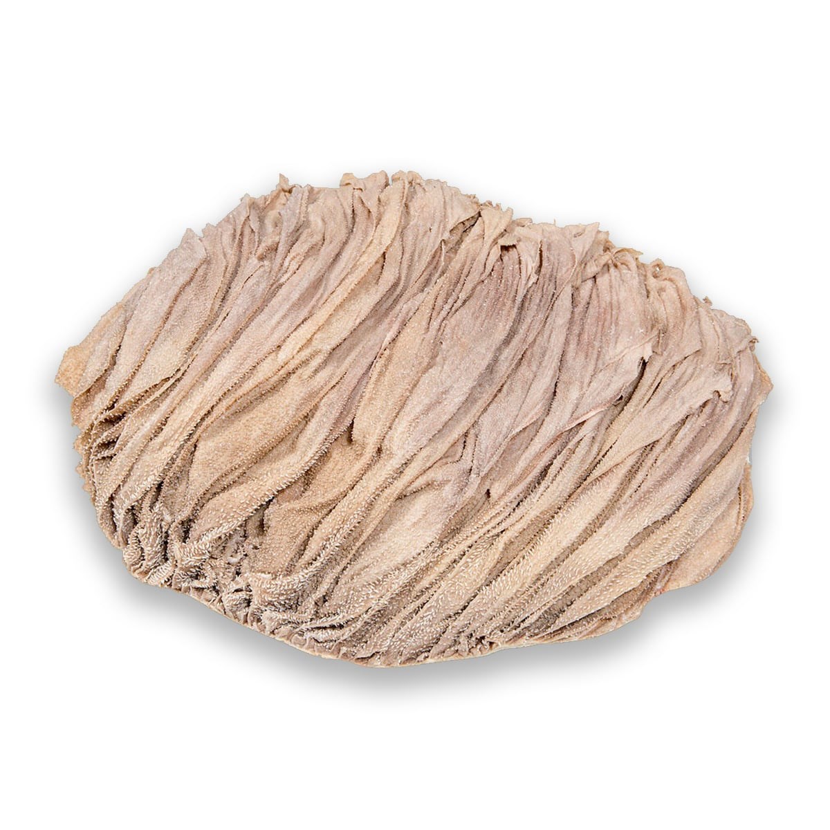 Tuzlanmış Kırkbayır